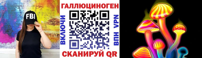 площадка формула  Павлово  Псилоцибиновые грибы прущие грибы 